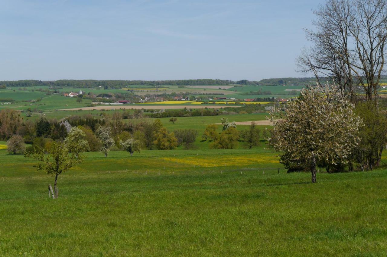 Eulennest, Haus Vogelgesang Apartment *